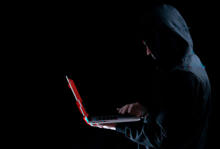 Ransomware Survival Guide